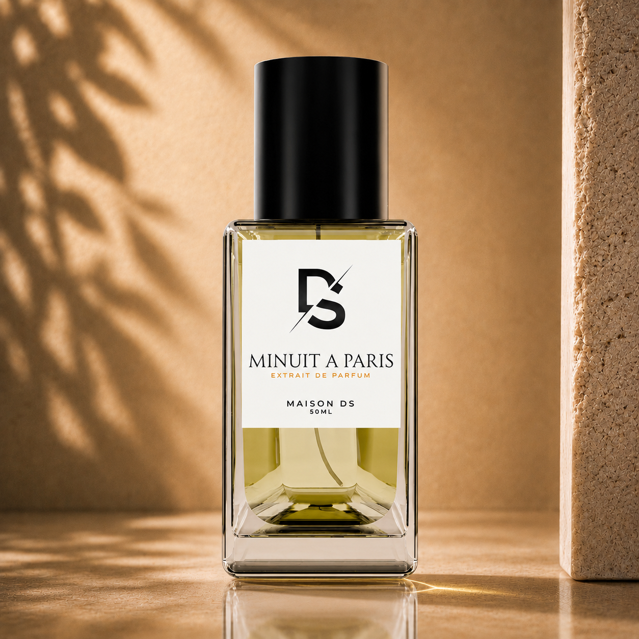 Minuit à Paris (Santal R)
